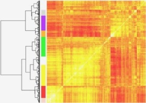 heatmap